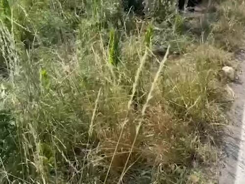 Sopralluogo e rilievi della polizia locale sul luogo dello schianto - VIDEO