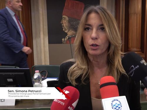 Mare, Petrucci (FdI): “Rapporto dimensione subacquea delinea perimetro economico filiera underwater”