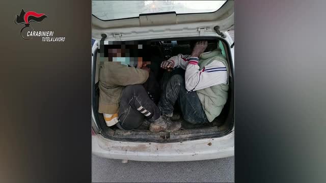 Piana di Sibari, colpite due associazioni per delinquere finalizzate alla riduzione in schiavitù