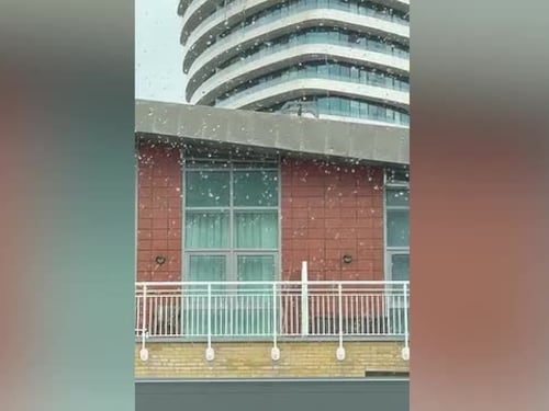 A Londra cade già la prima neve