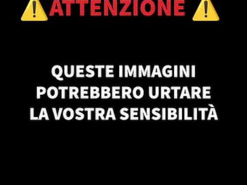Le immagini dello schianto dopo il decollo | Video